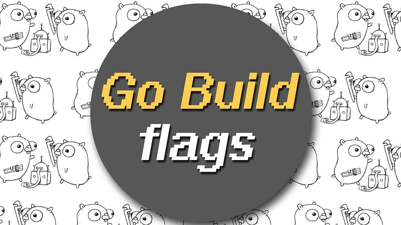 How to use Golang build flags