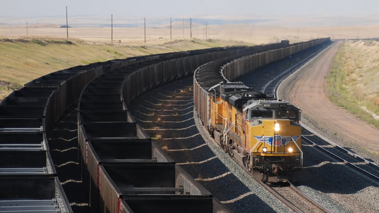 Nonstop Union Pacific & BNSF Powder River Coal Trains at Logan Hill, Wyoming 8/15/2024