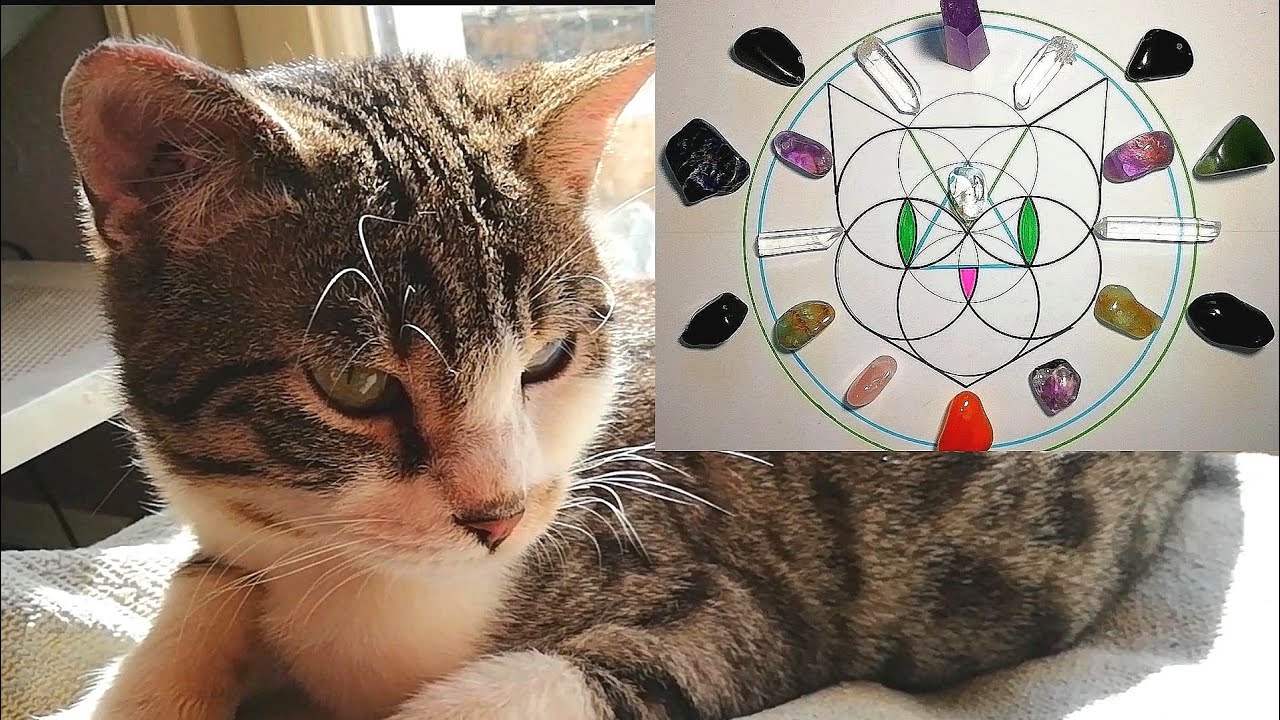 Crystal Grid for Cats! How to draw a unique crystal grid