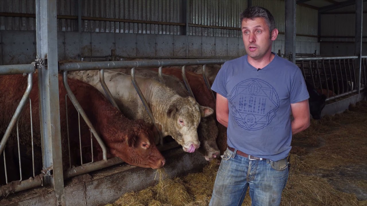 J Grennan and Sons