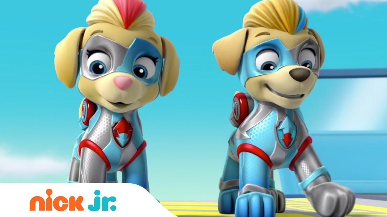 The Mighty Twins In Action 🐶🐶 PAW Patrol | Nick Jr.