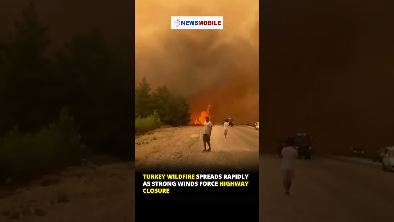 Turkey Wildfire Spreads Rapidly as Strong Winds Force Highway Closure
