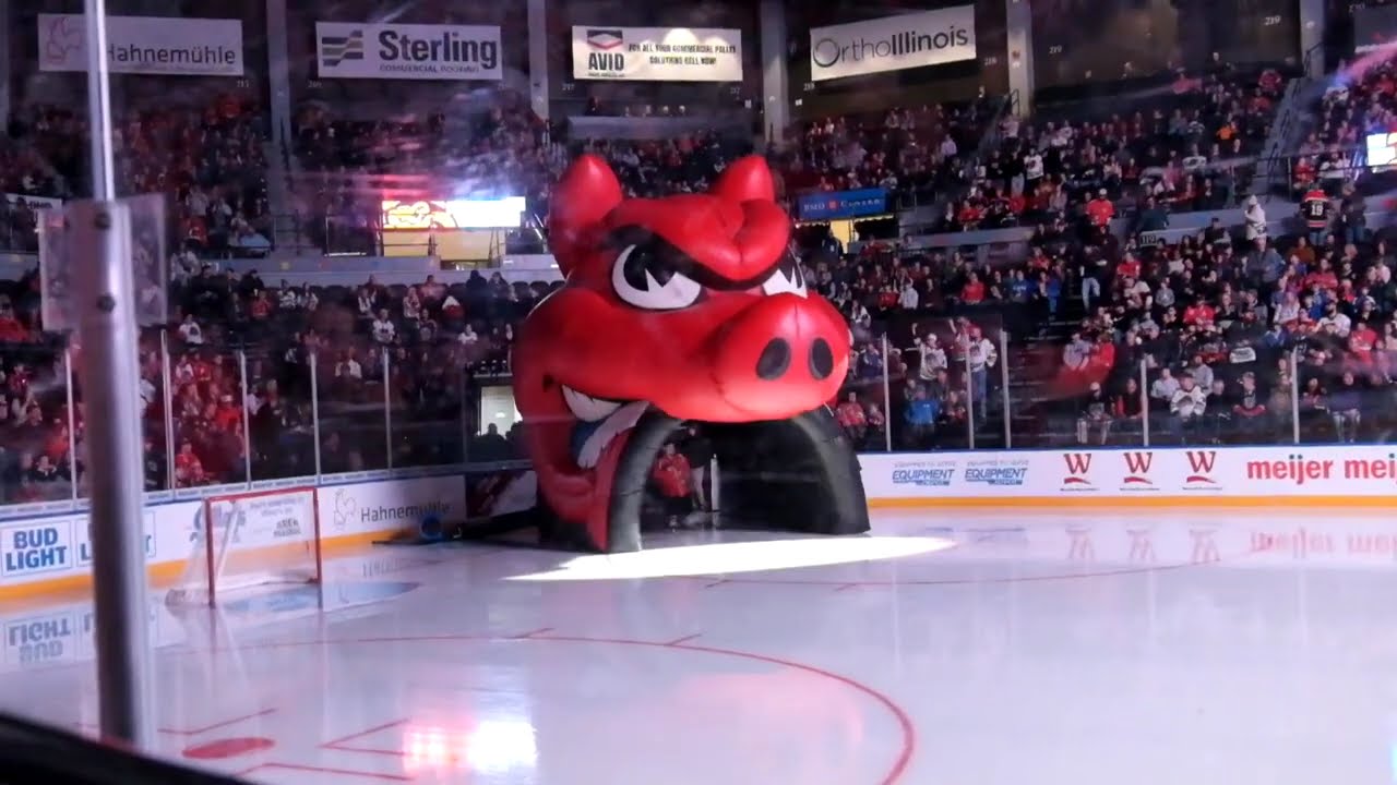 Chicago Wolves vs Rockford IceHogs 1/25/25