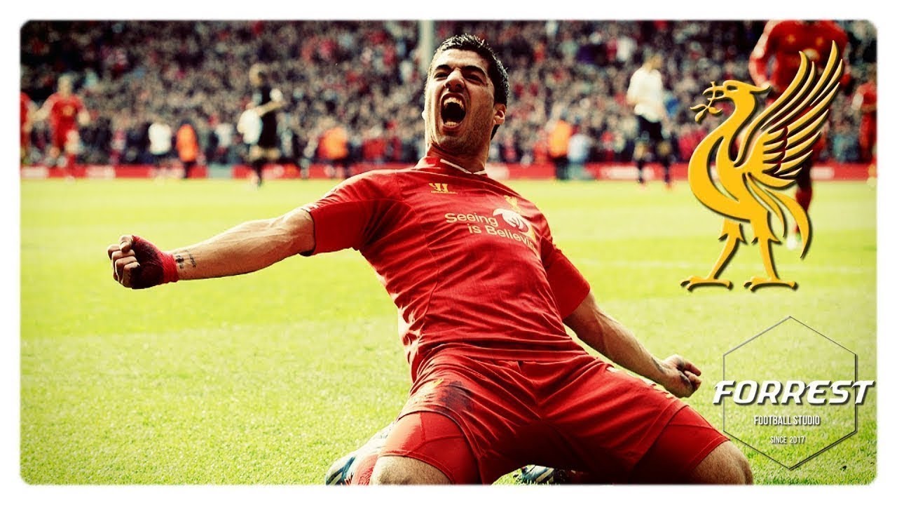 EPL을 씹어먹었던 루이스 수아레즈 ● 2013 14 시즌 스페셜