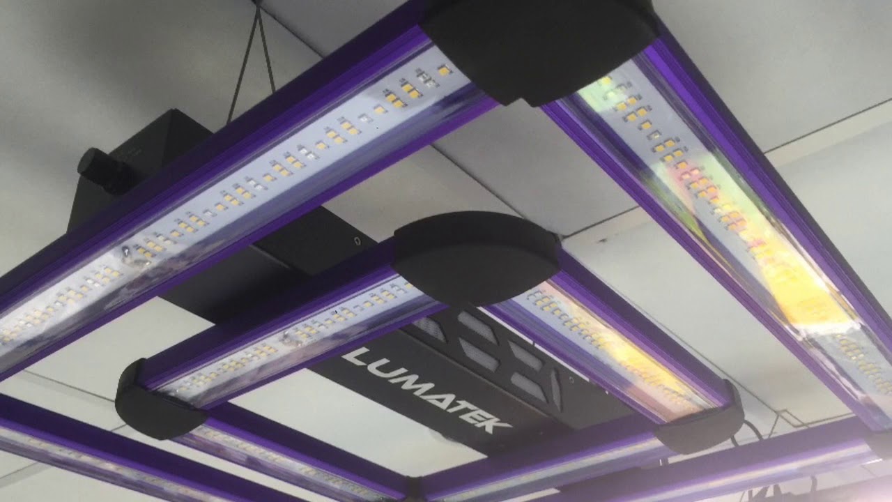 Lumatek Attis 200W LED unboxing @ Hytec Hydroponics Sheffield