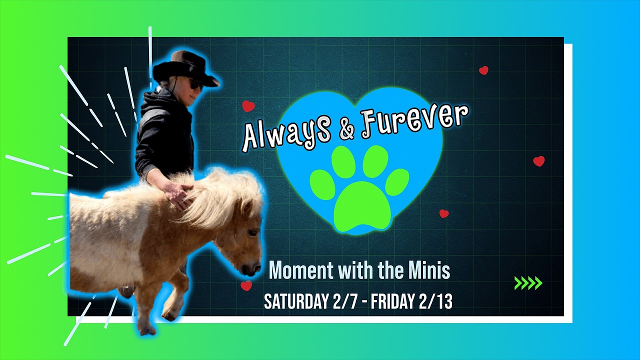 Moments with the Minis