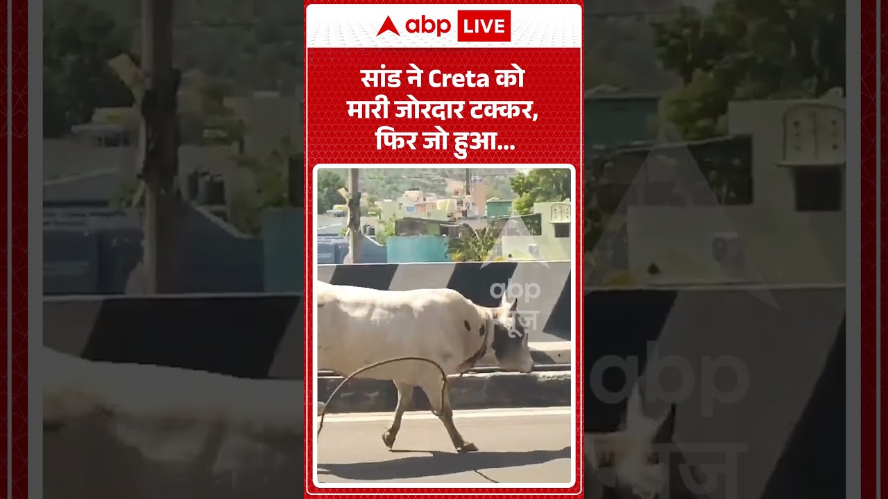 Viral Video : सांड ने Creta को मारी जोरदार टक्कर, फिर जो हुआ... | #viral #ytshorts #cow