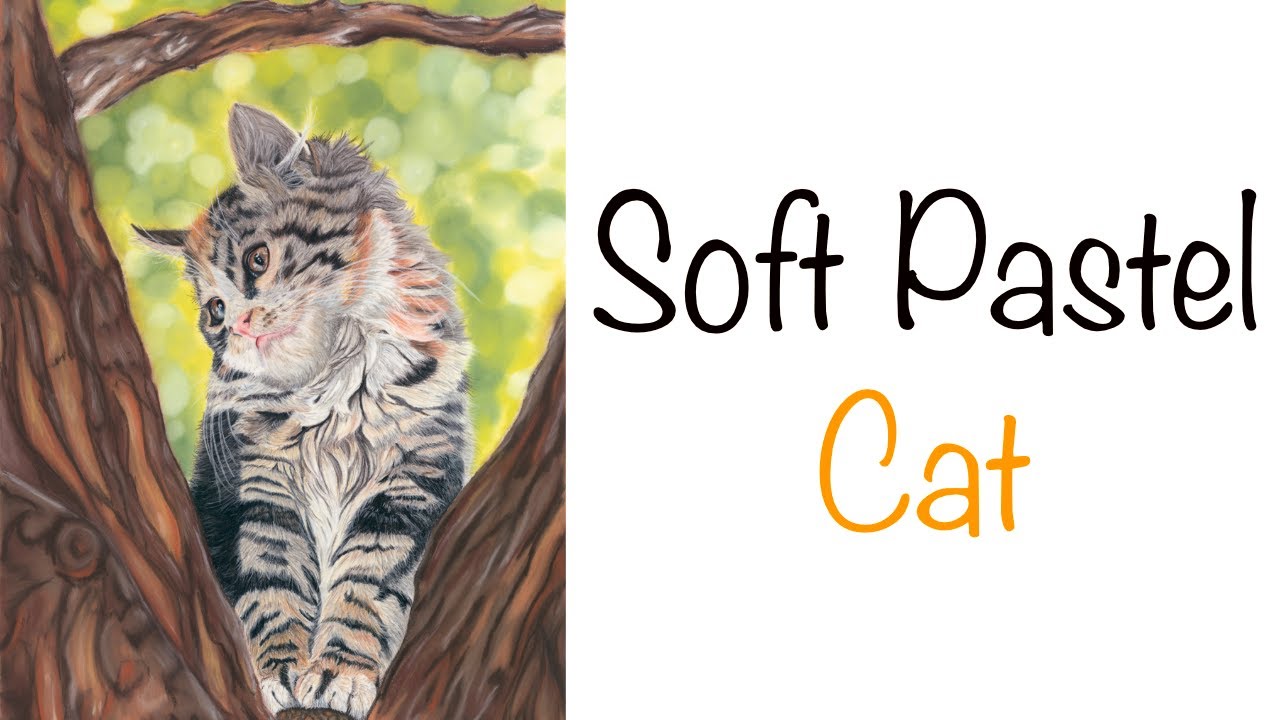Soft Pastel Timelapse: Cat