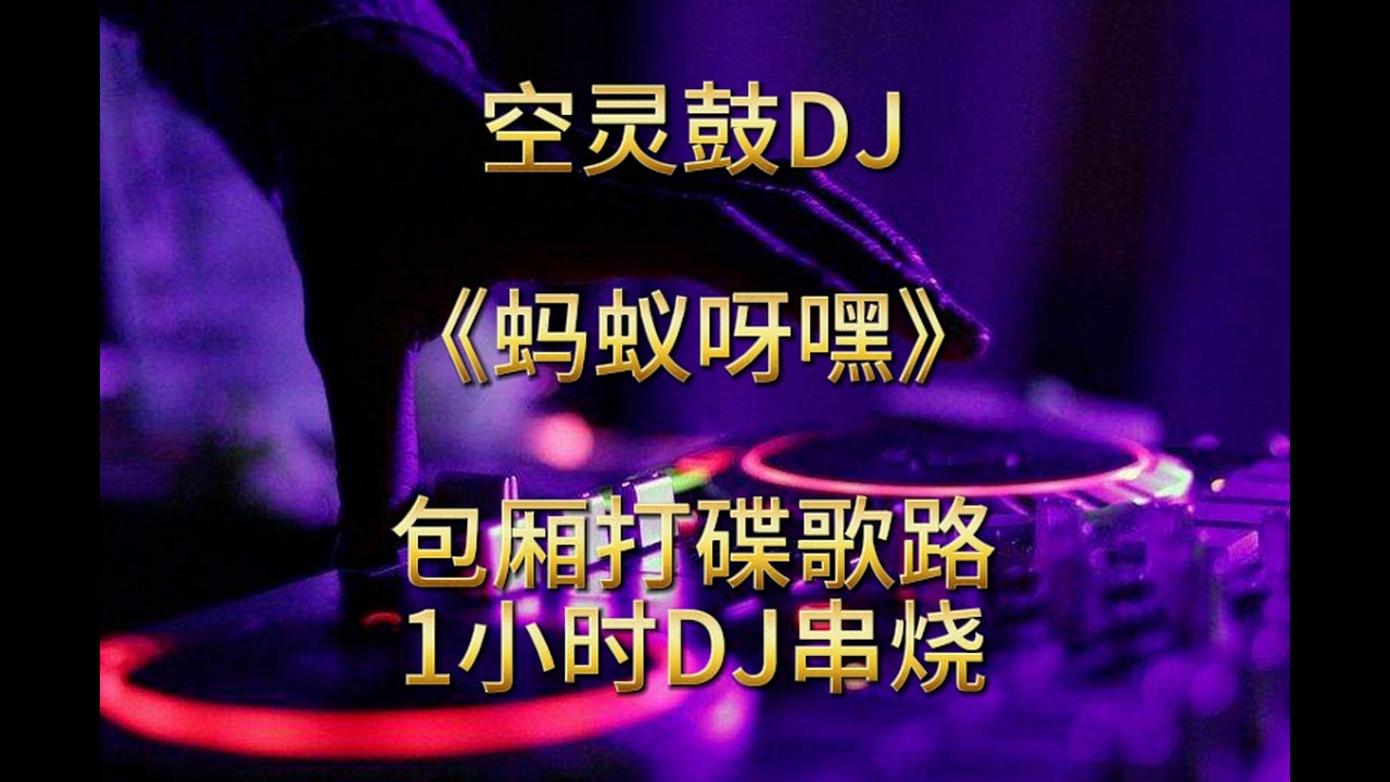 空灵鼓DJ《蚂蚁呀嘿》包厢打碟歌路1小时DJ串烧