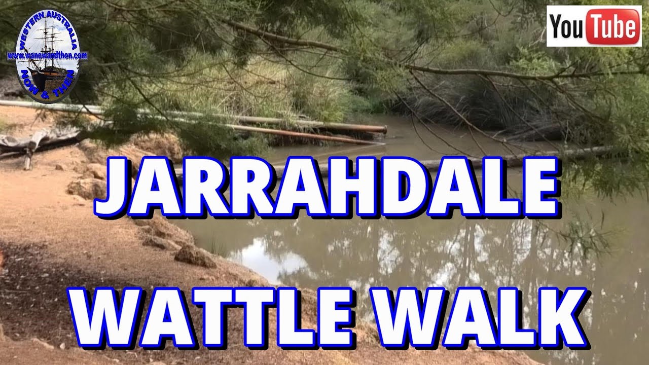 Wattle Walk - Jarrahdale - Western Australia