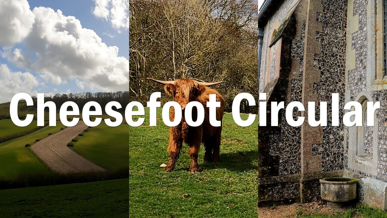 Cheesefoot Circular: SWD, Cows, and Churches