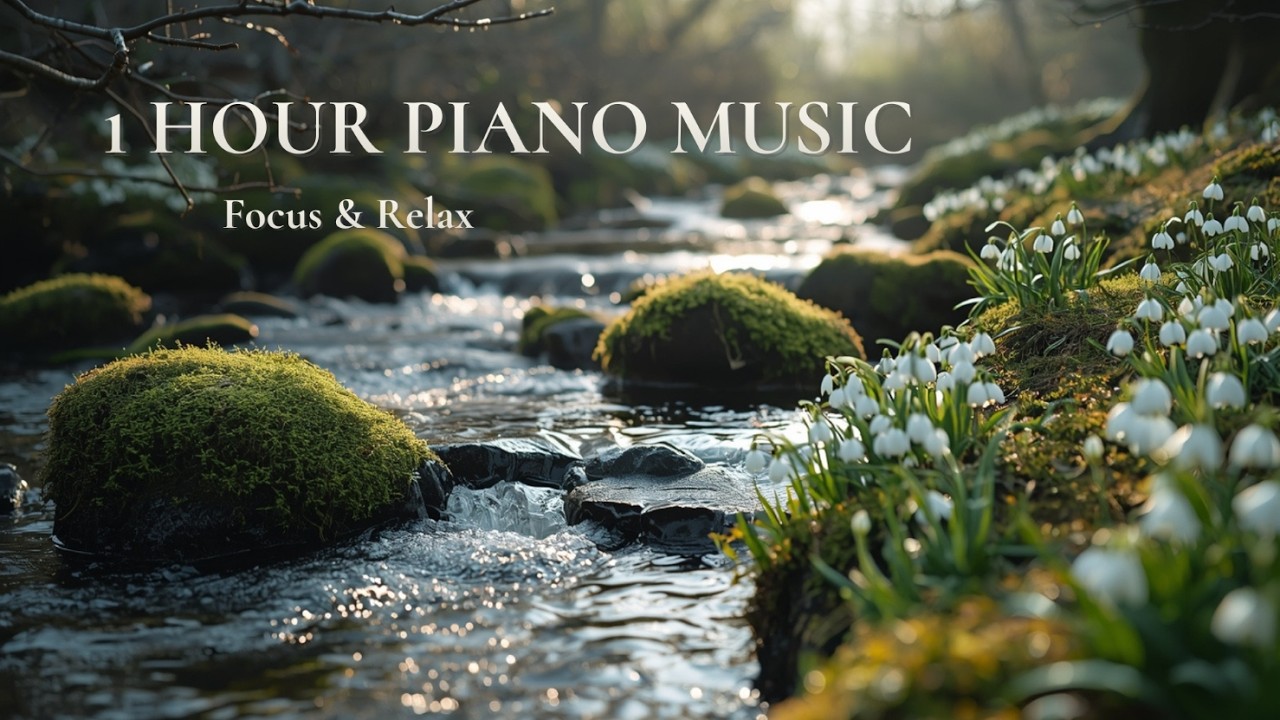 1 Hour Calm Piano Music | Focus & Relax | Study, Work, Reading📖🎶
