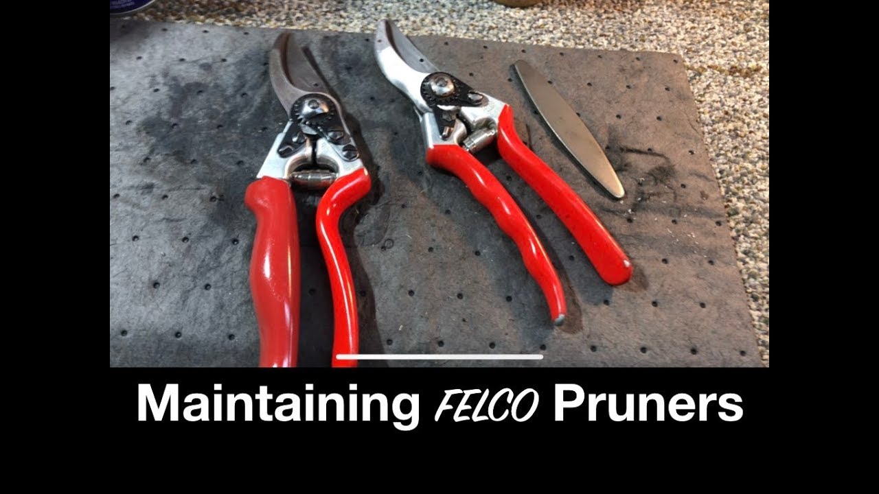 MAINTAINING FELCO PRUNERS || The Southern Reel Mower