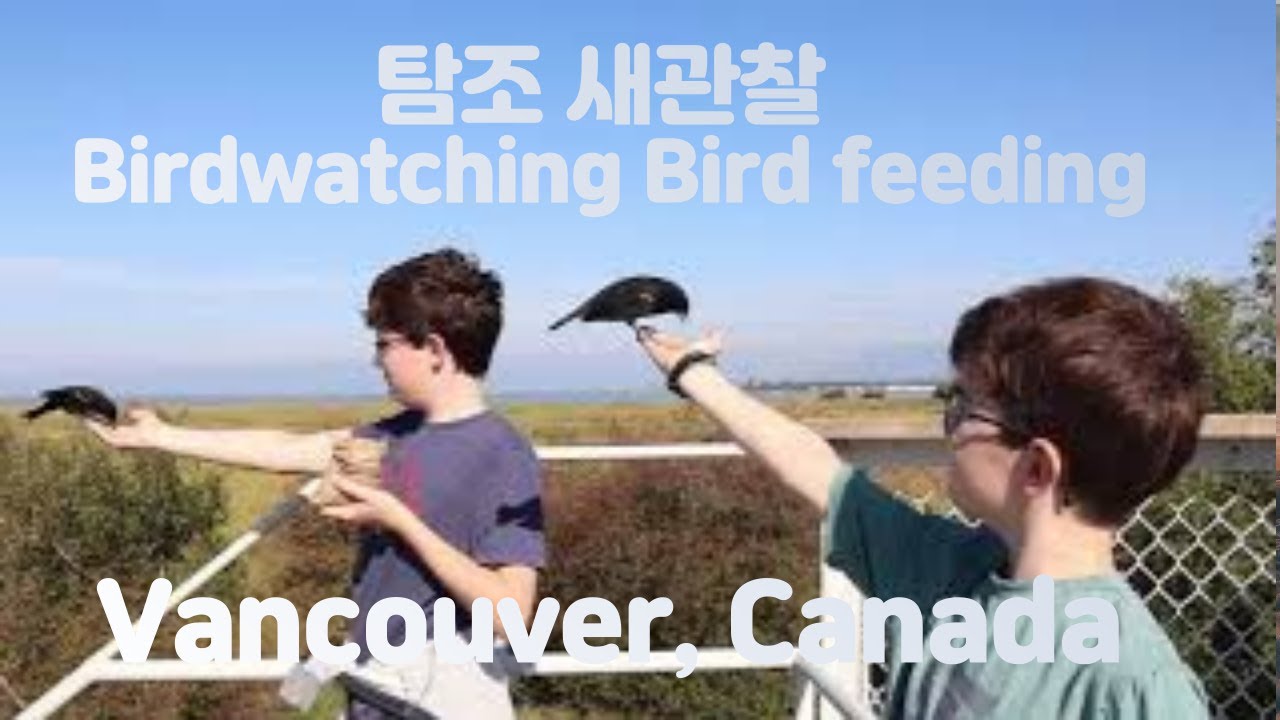 Discover Birdwatching #BirdFeeding #Bird Sanctuary #Pls. Listen to sounds 새관찰 캐나다 여행기#오디오 레벨 #탐조 加拿大