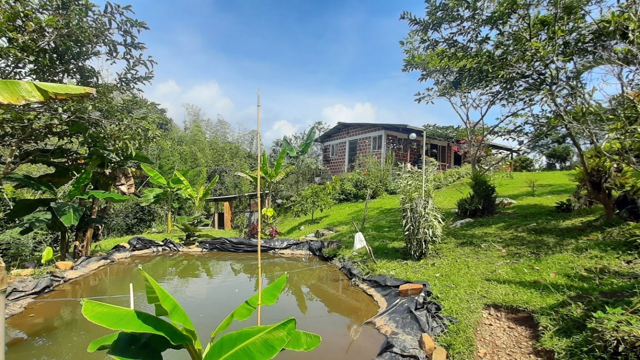 REF.112 #PEDROPARRA HERMOSA FINCA CON RIO Y LAGO 630 MTS CALI AL CARMEN  198. 000 000