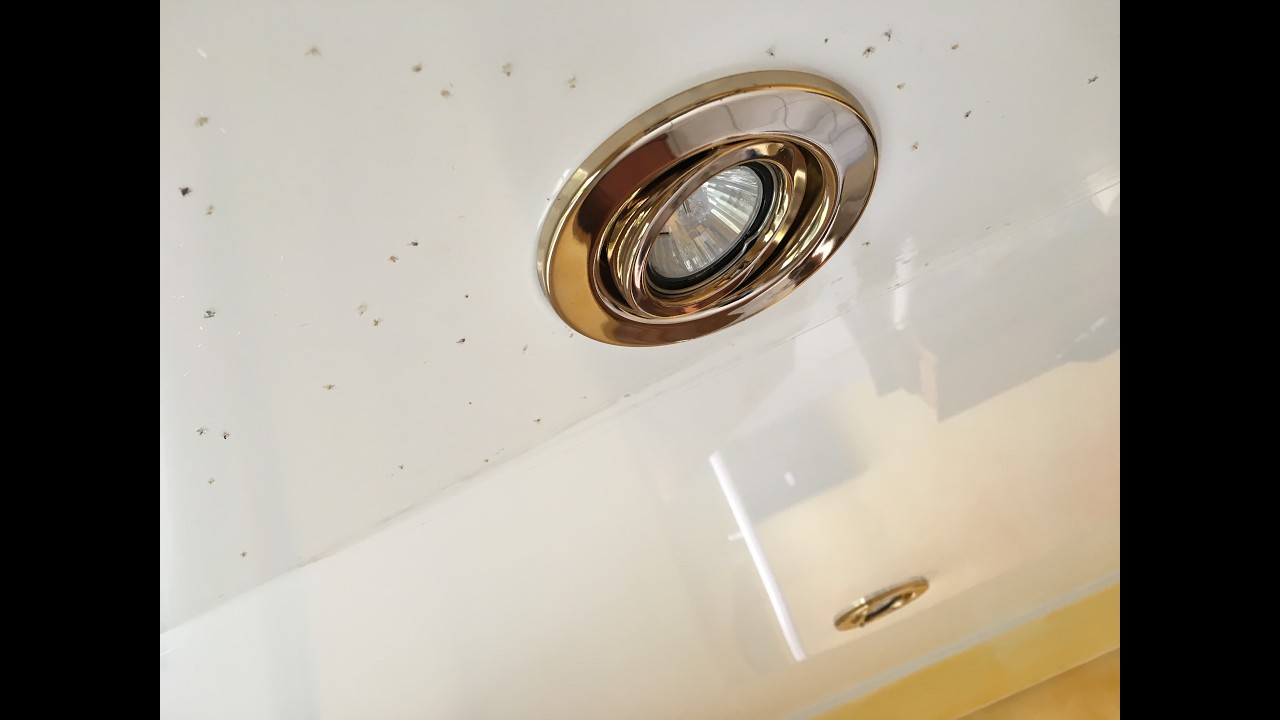 NETTOYAGE RENOVANT PLAFOND T ENDU