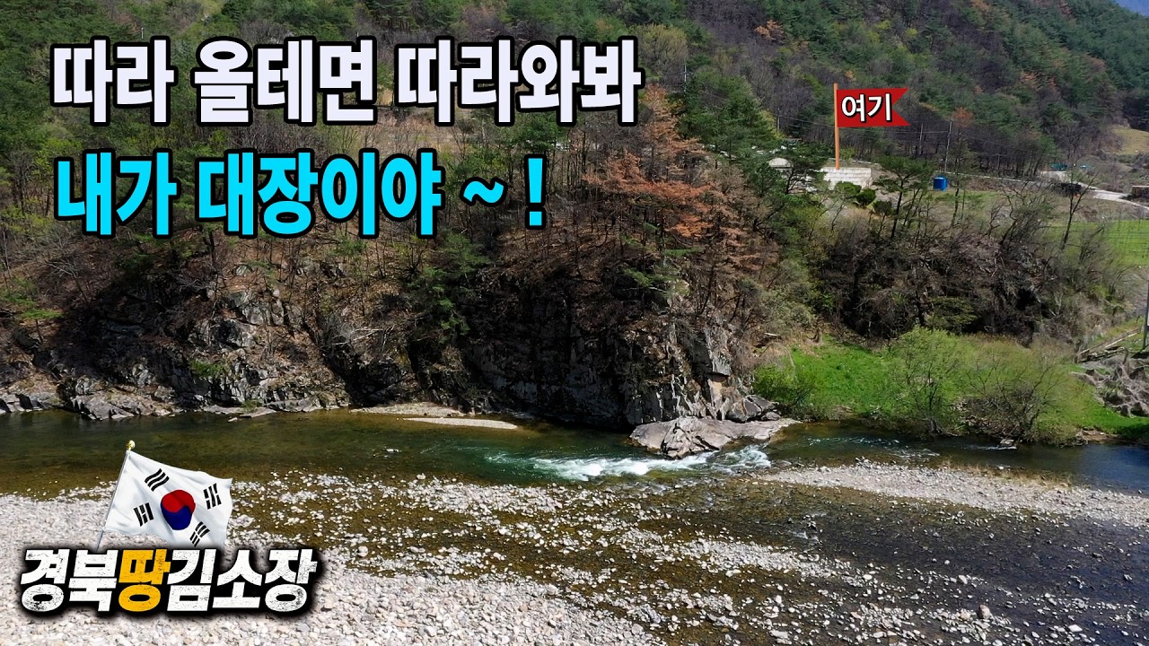 ★경북땅김소장★[매번1007번] 누구나 부러워 할 명품땅