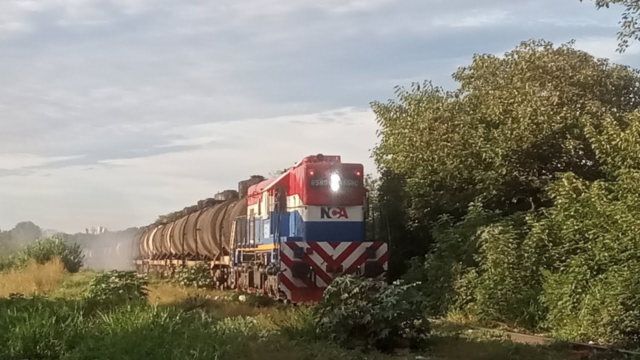 Leslie S2M en una GR12w de NCA | Tren Con la 6580 hacia COPP (22/2/26)