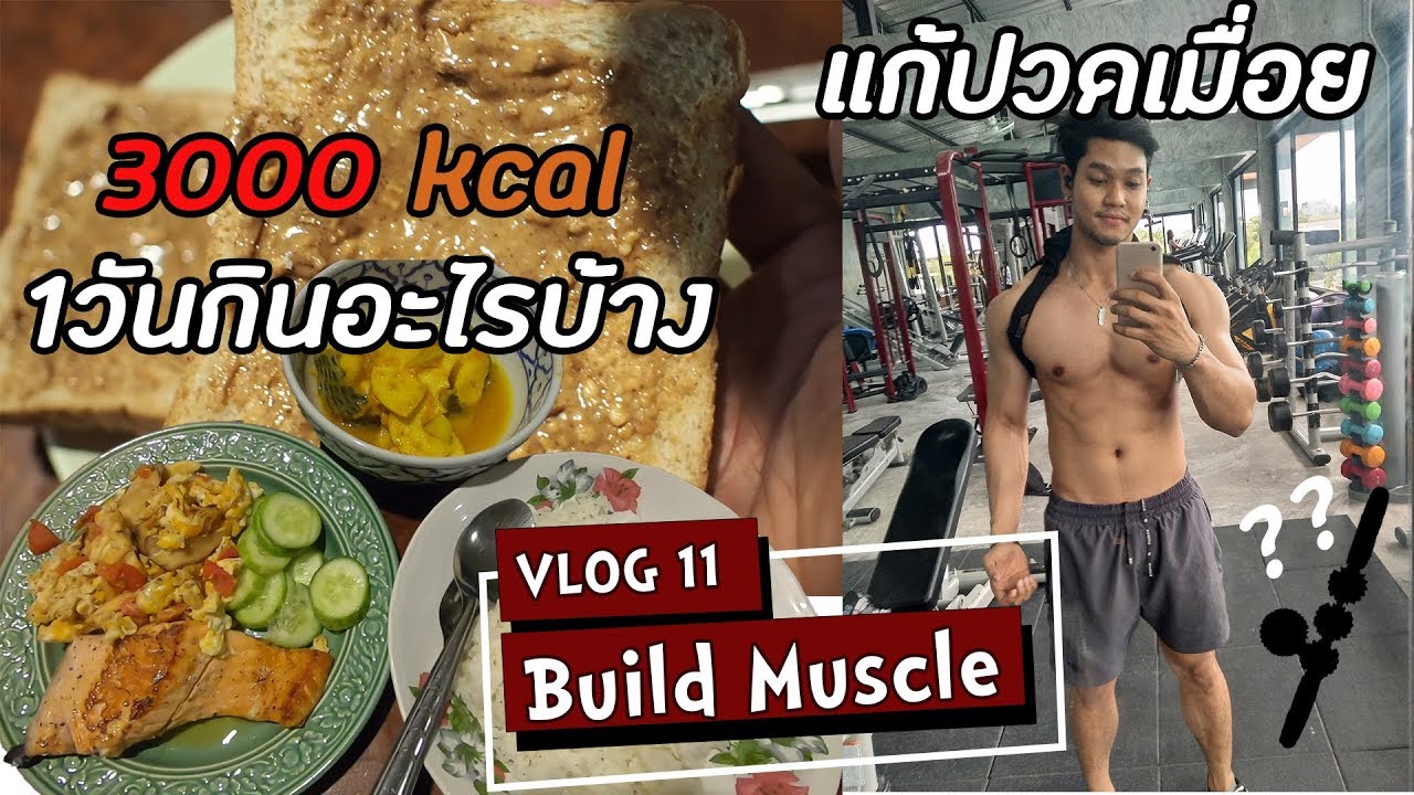 1วันกินอะไรบ้าง แก้ปัญหากล้ามเนื้อตึงและปวดเมื่อย | Upper Body | VLOG 11 SS1