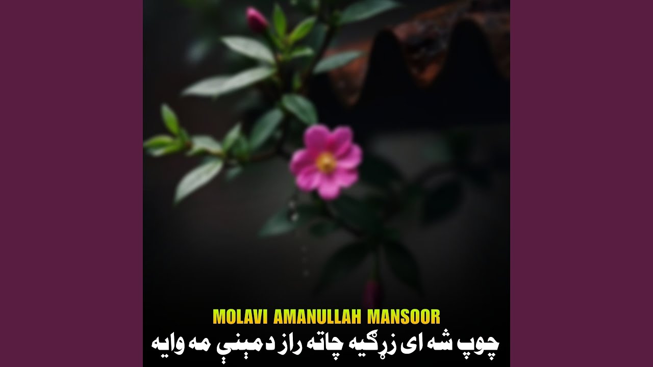 چوپ شه ای زړګیه چاته راز دمېنې مه وایه