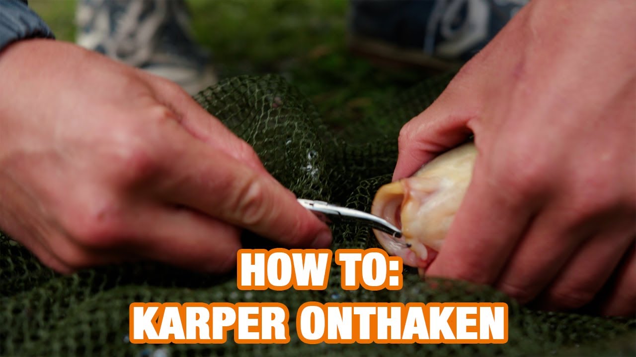 How To: Karper onthaken - Vissen Doe Je Zo!