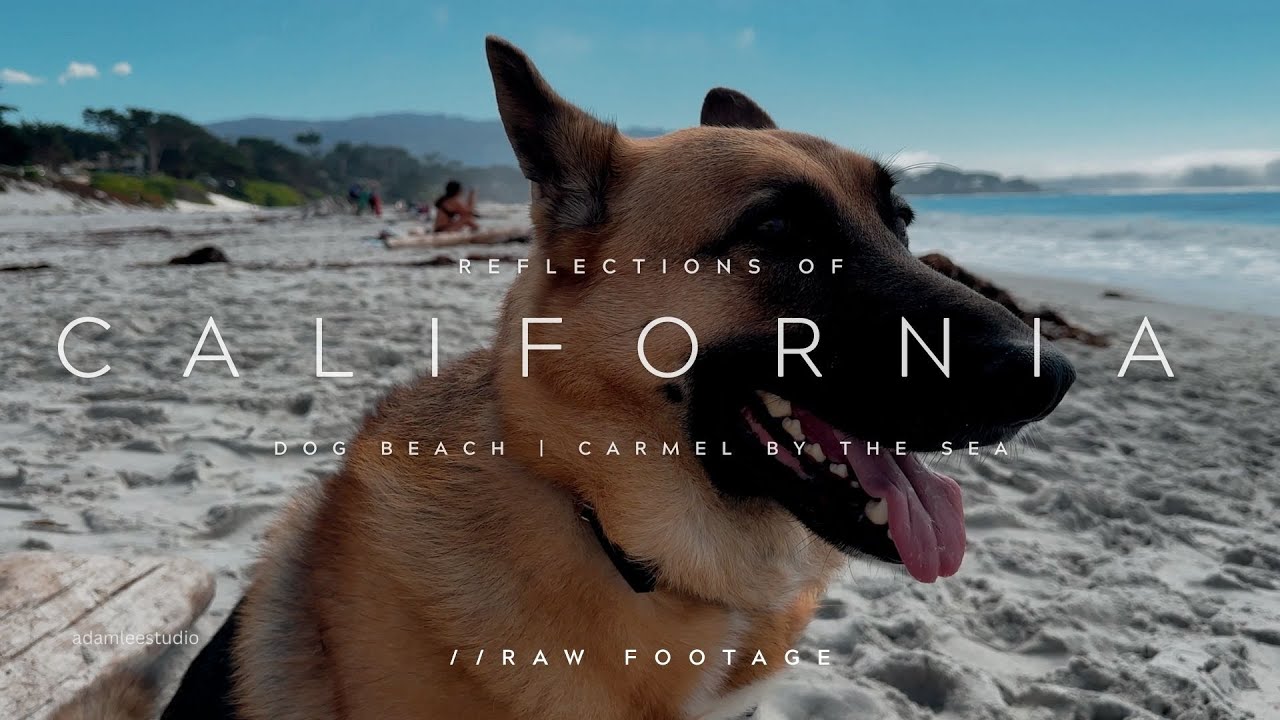 California | Carmel by The Sea: Walking 4k