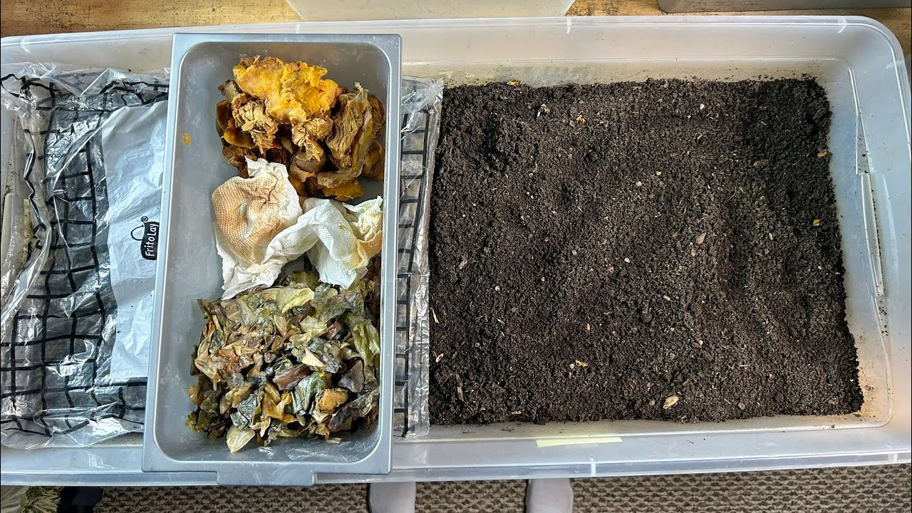 Long Bin Sift and Feed After 8 Day Dry Down