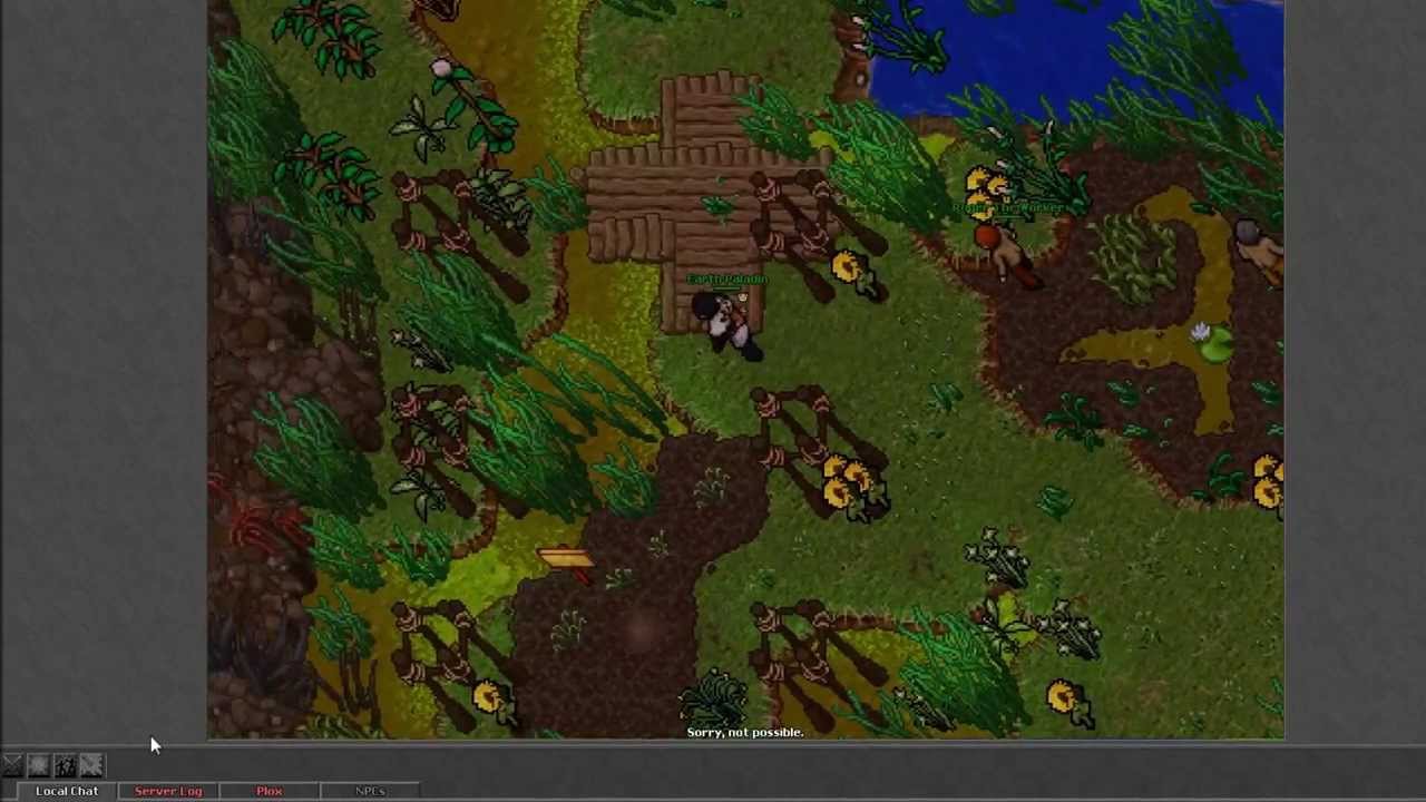 Tibia - Venore daily tasks