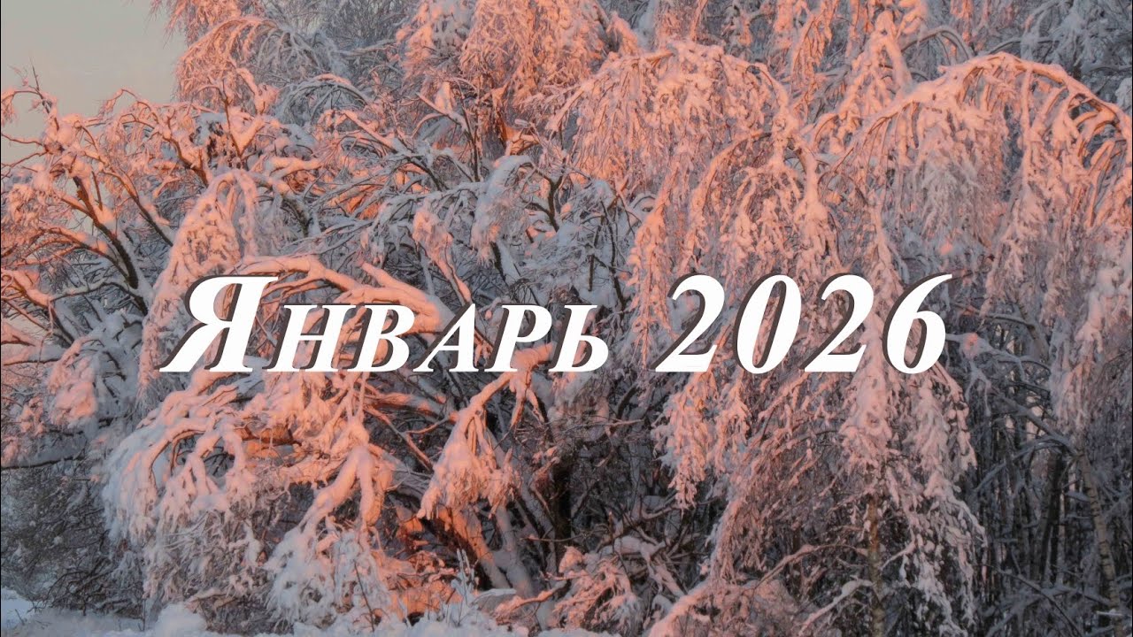 Январь 2026 года в рязанской Мещере 