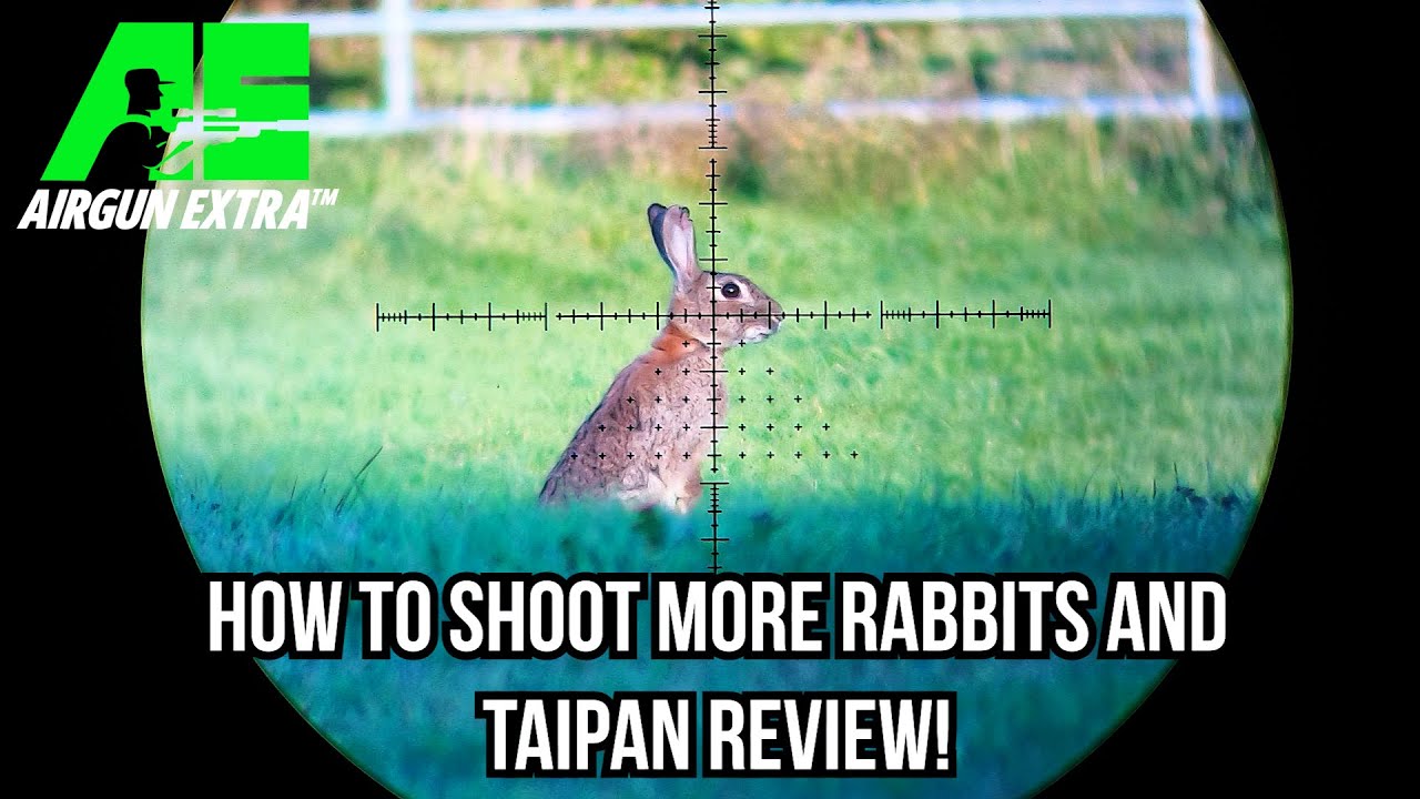 Airgun Extra | How to shoot more rabbits | Taipan Veteran 2 Tactical airgun review