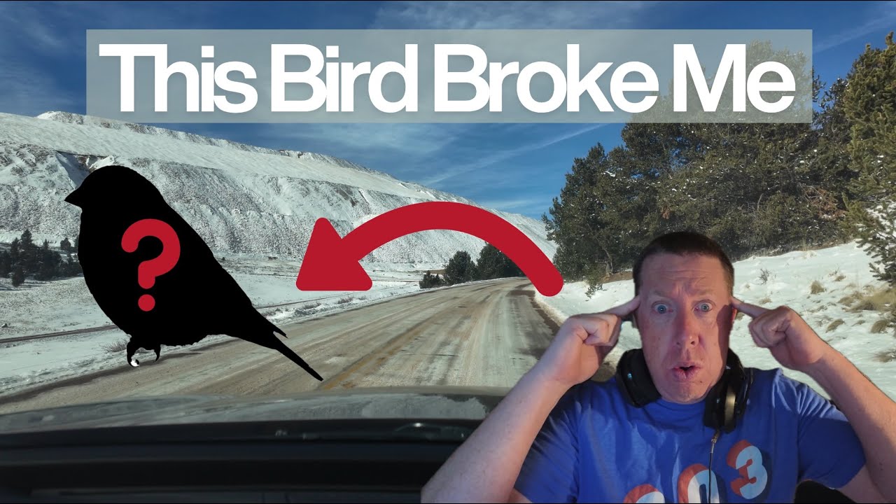 Tracking Down This Specialty Bird Broke Me
