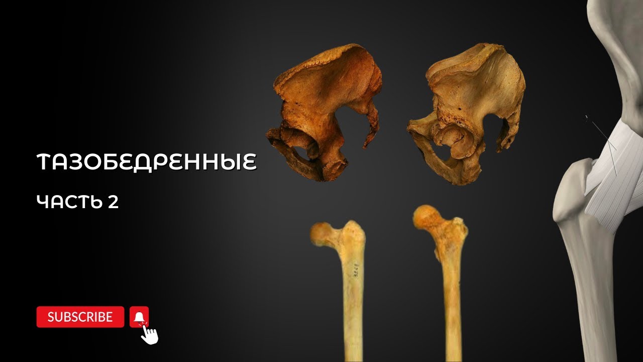 Тест Крейга, разбор результатов. Часть 2