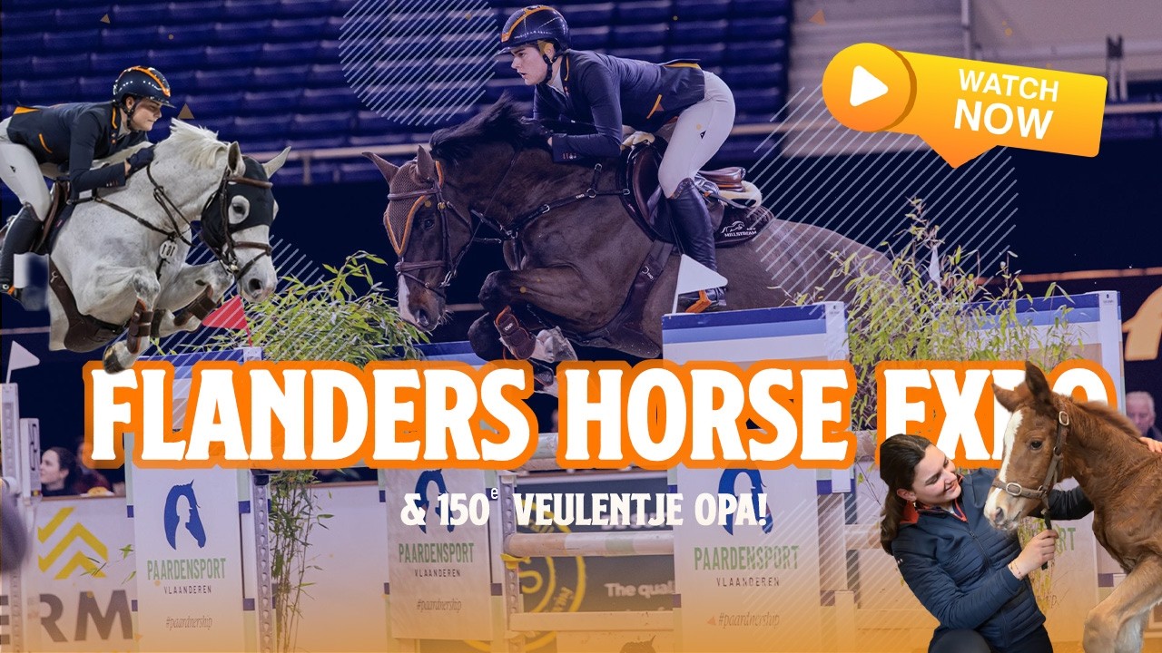 PRIJS OP FLANDERS HORSE EXPO ✰ vlog 434✰ | Kristy Snepvangers |