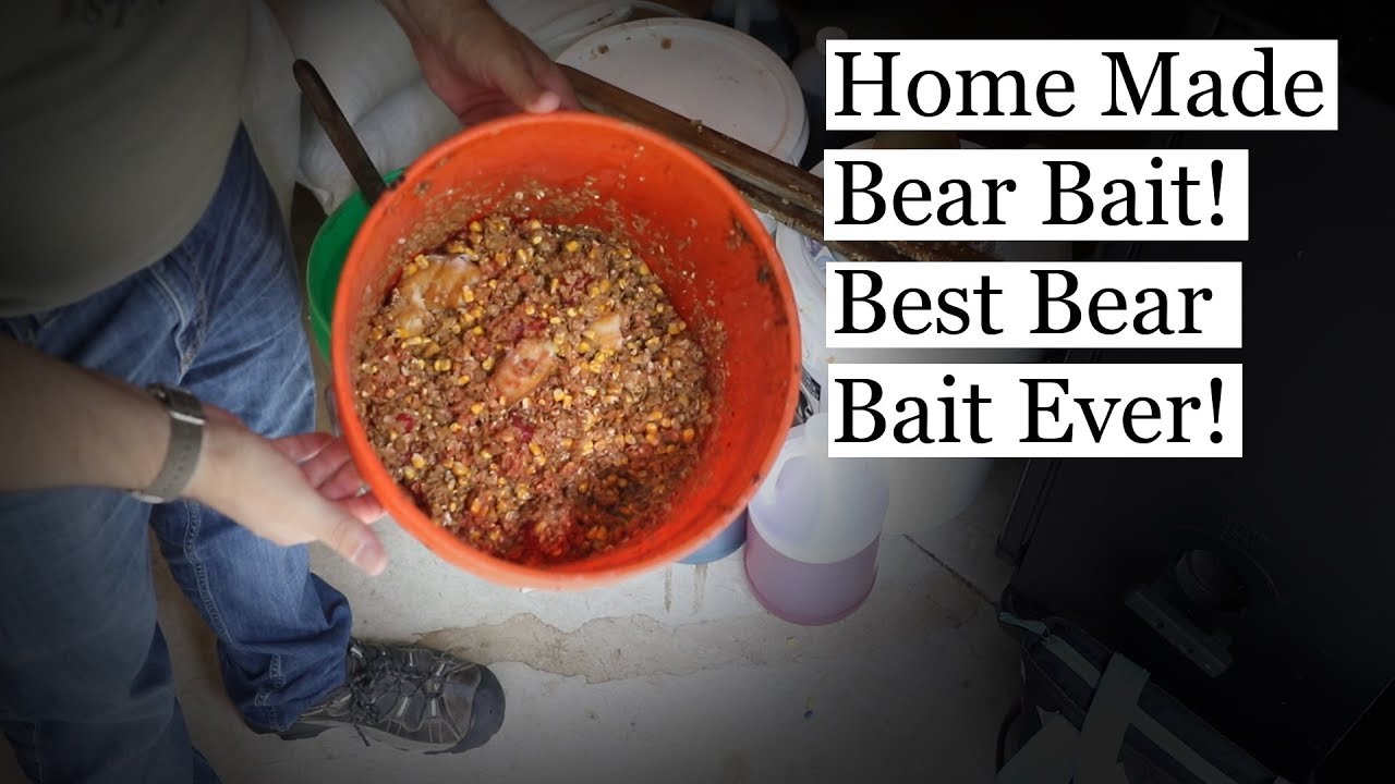 Best Bear Bait Ever! Fast, Easy, and Cheap To Make