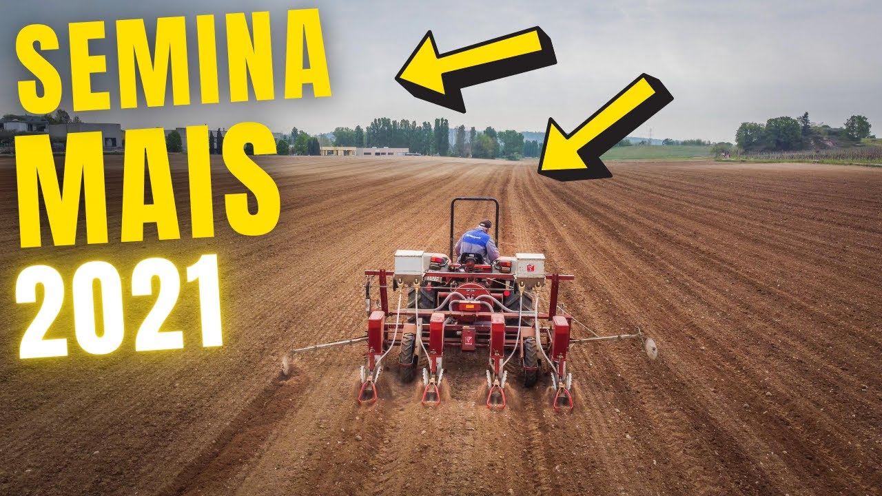 SEMINA MAIS 2021 | Seminatrice GASPARDO SP 510 | Filips Country