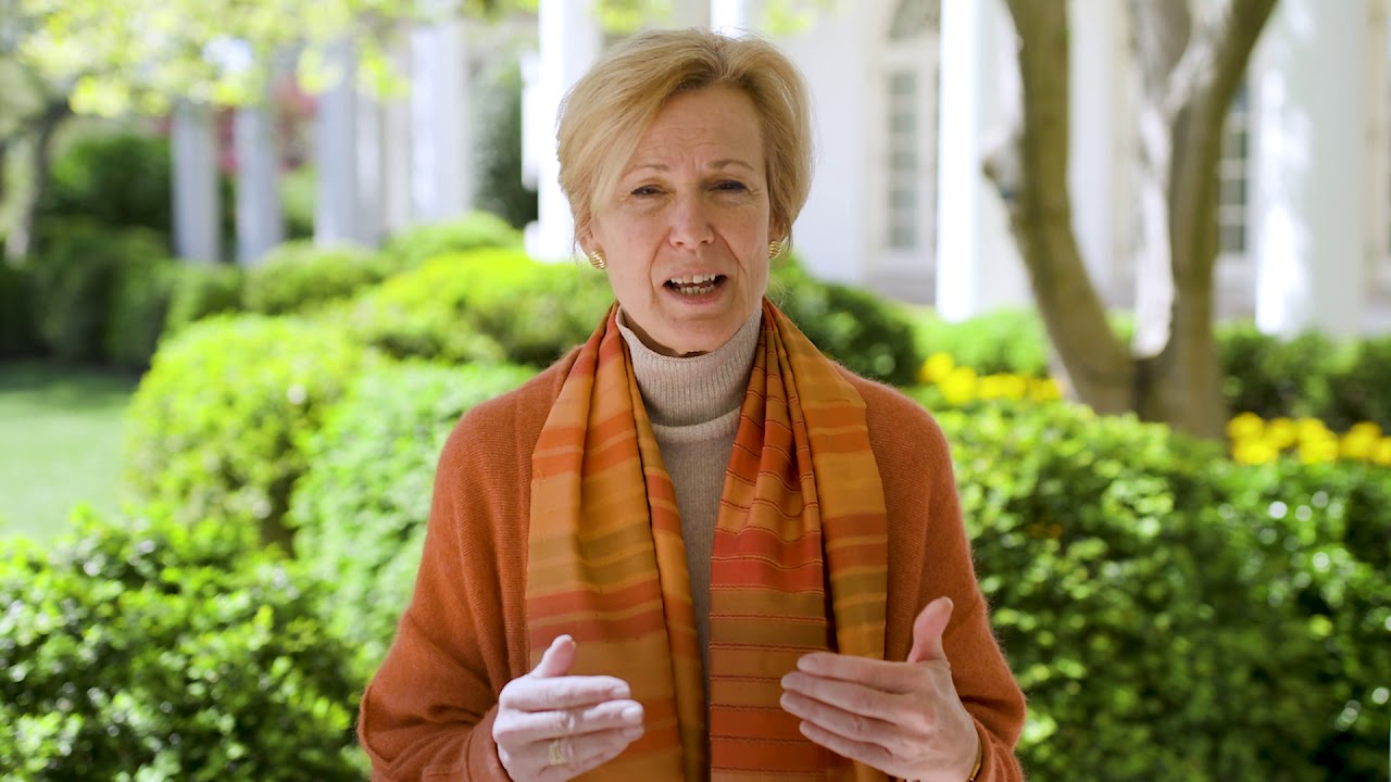 Dr. Birx PSA - Stop Gathering