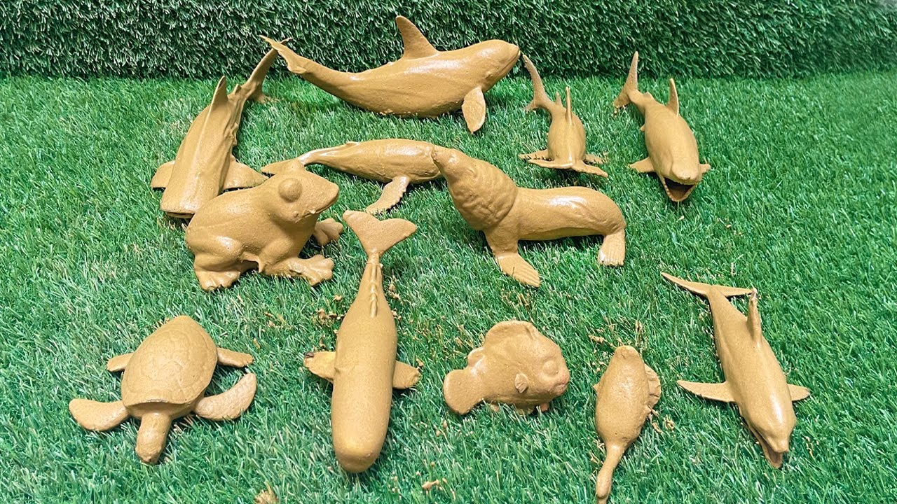 Guess the Sea Creature: Learn Sea Life – Surprise and Guess Ocean Creatures!