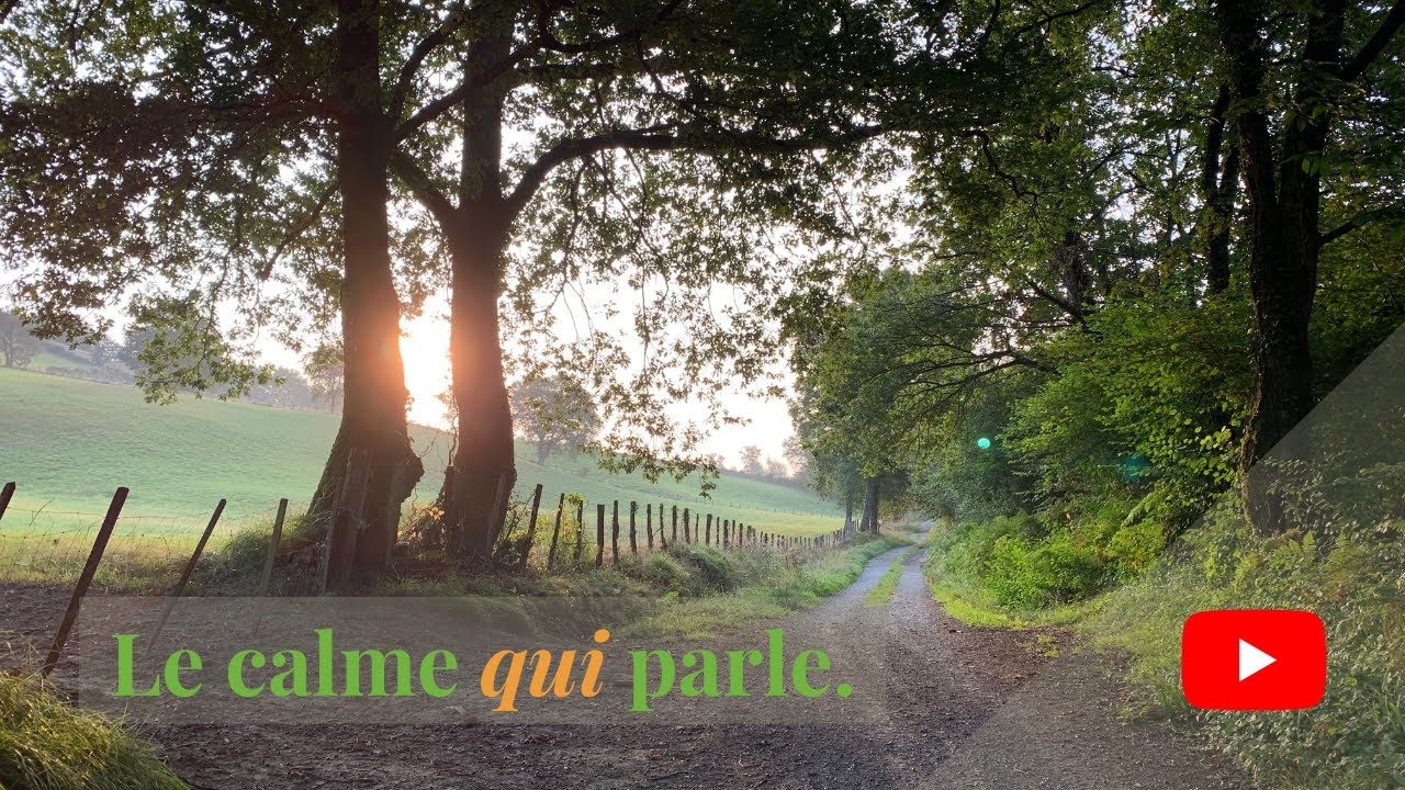 « Le calme n’est jamais vide : il parle. »