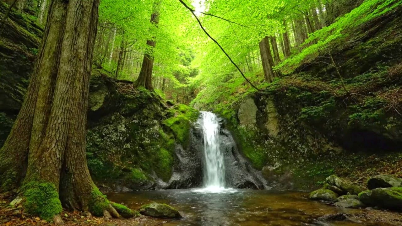 RELAXING RIVER SOUNDS ASMR | SOOTHING WATER FLOW FOR INSOMNIA, ANXIETY, AND FOCUS