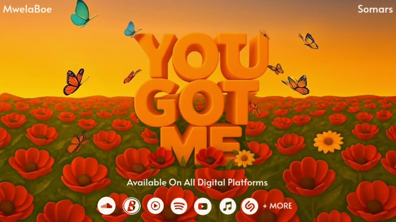 Mwela Boe feat. Somars - You Got Me (Visualizer)