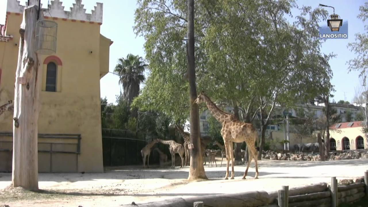 Lisboa, ZOO