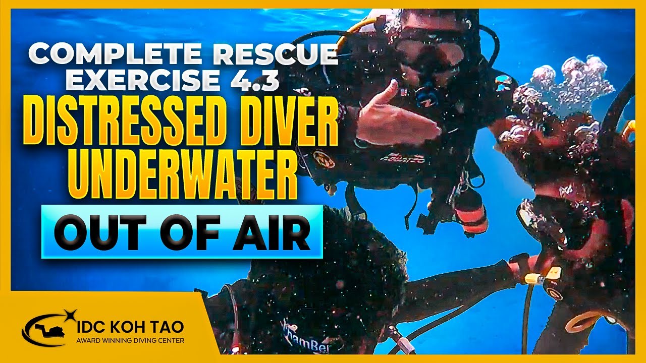 Scuba Diving: Complete Rescue Exercise 4.3 in Open Water | Distressed Diver Underwater Out of Air 🤿