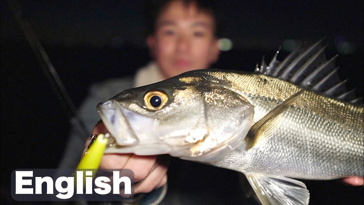 Here's how to fish for sea bass at night in Tokyo Japan.