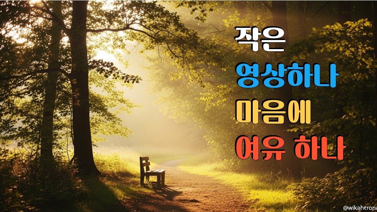 50#우산 하나의 무게#하루에하나씪#마음의여유#교훈#이야기#좋은#생각#힐링#하루시작#마음치유힐링시간
