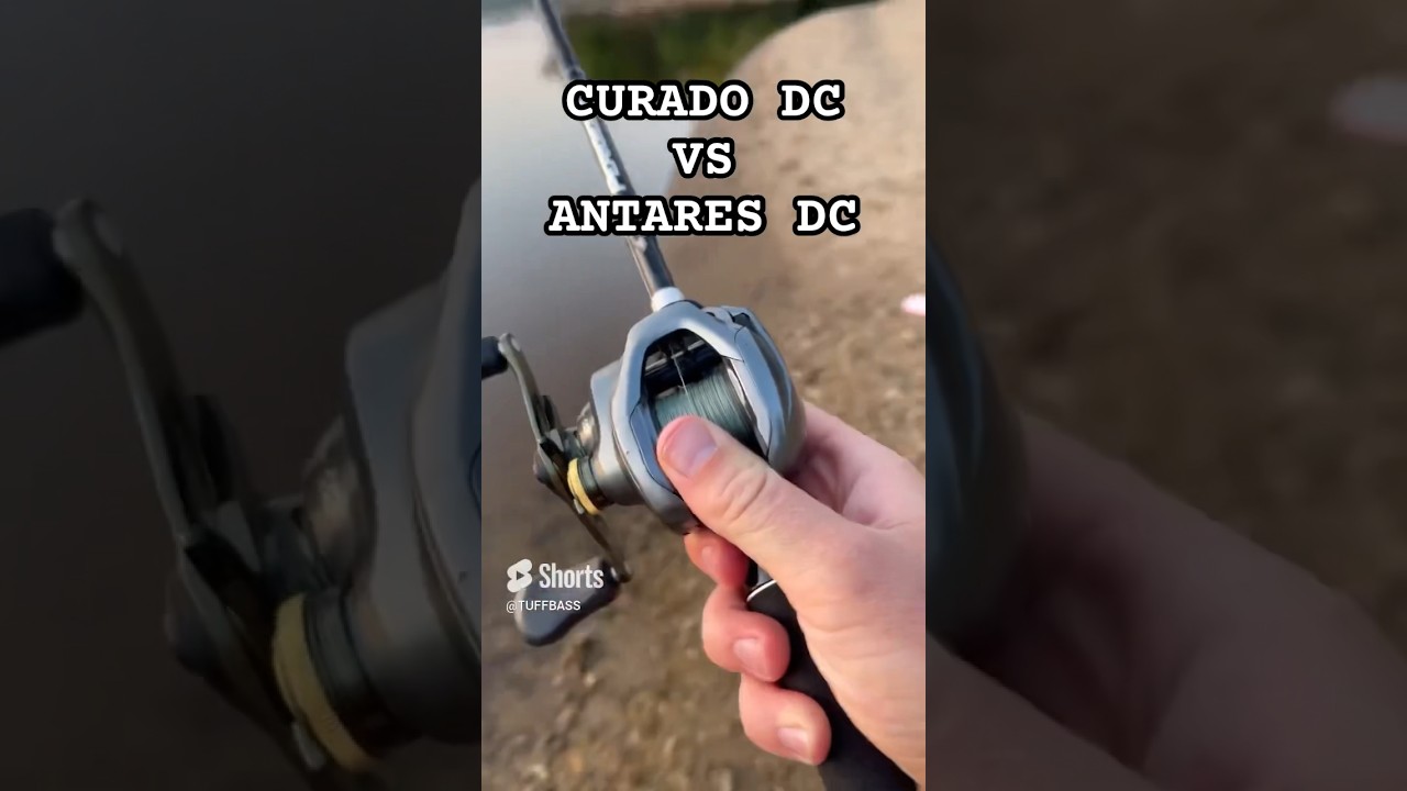Shimano DC BATTLE! Curado DC vs Antares DC