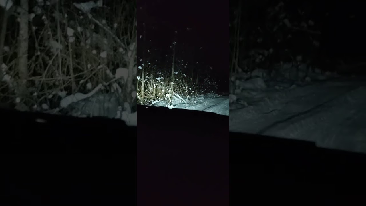 Yellow Springs in the Snow