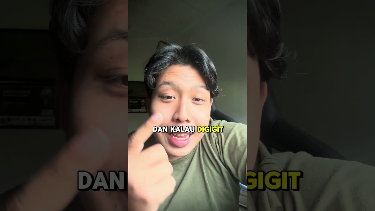 Ular Dari Film Zootopia ternyata Asal indonesia dan berbisa tinggi