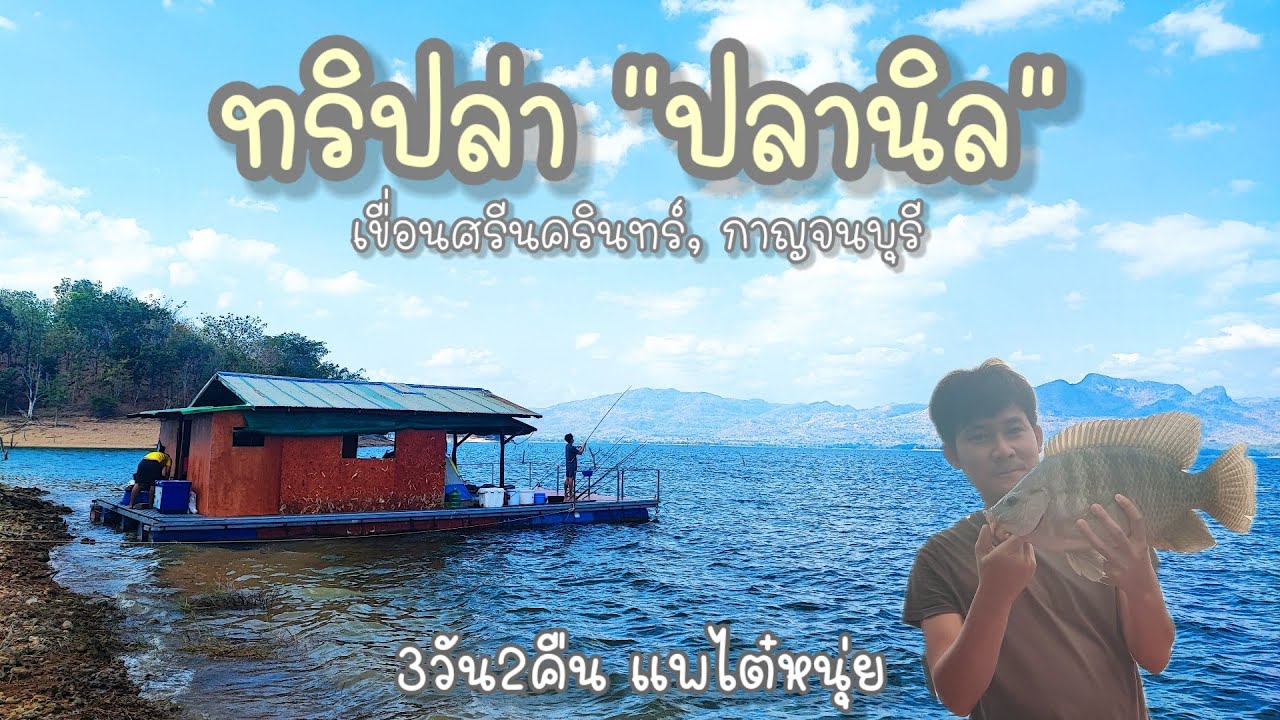 ทริปล่าปลานิล กางเต็นท์ ตกปลาบนแพไต๋หนุ่ย ในวันที่บรรยากาศโคตรดี! #เขื่อนศรีนครินทร์ #กาญจนบุรี