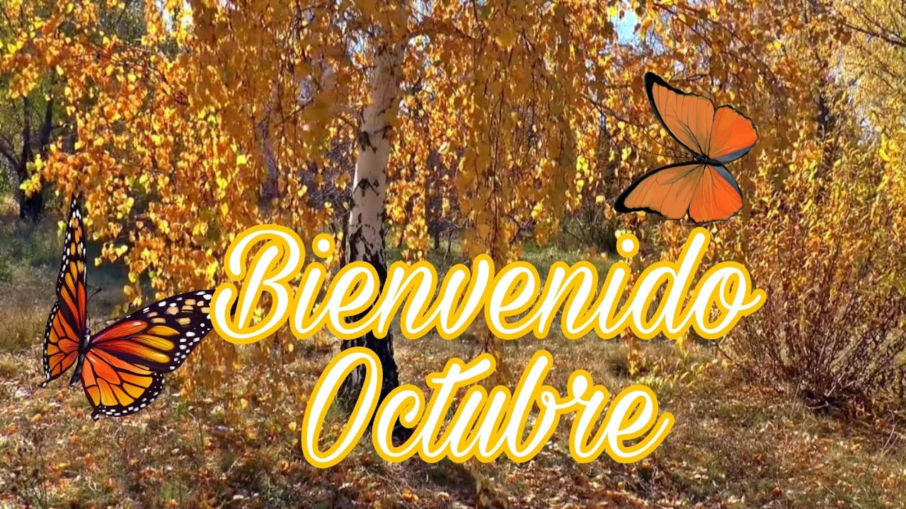 Bienvenido Octubre 🦋🍂🌾