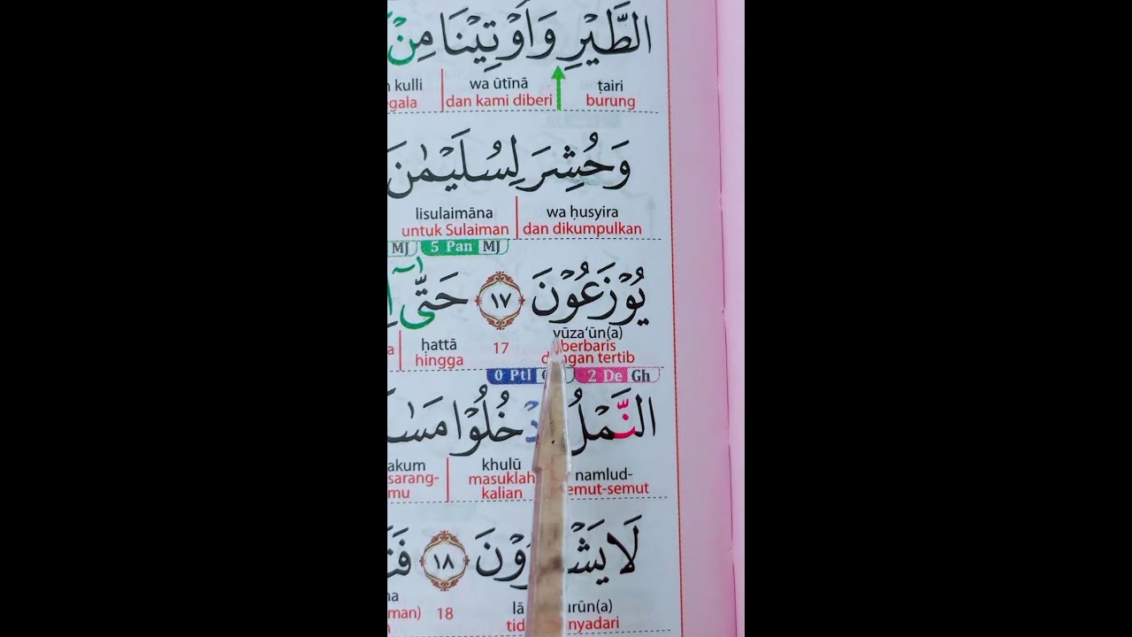 belajar bersama sampai bisa insyaallah!
